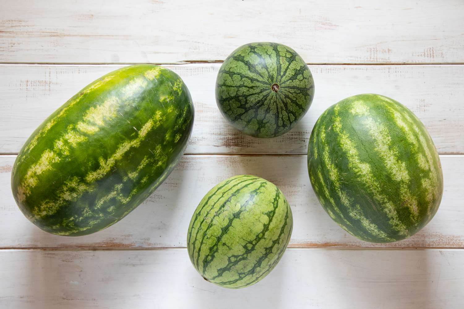 Four types and sizes of watermelon