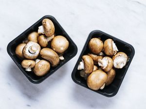 Mushrooms in black container