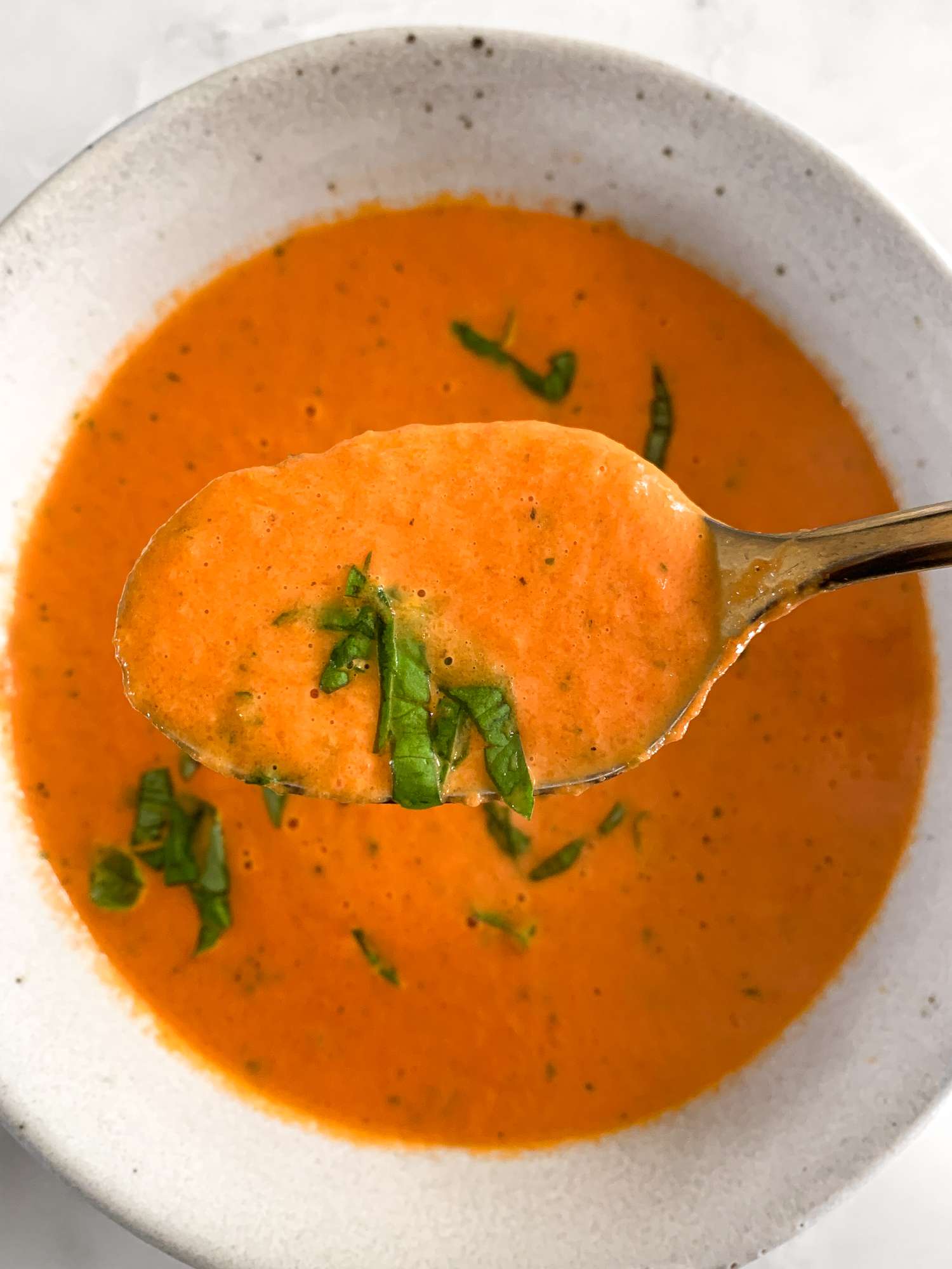 Some of the Nordstrom soup lifted from the bowl with a spoon