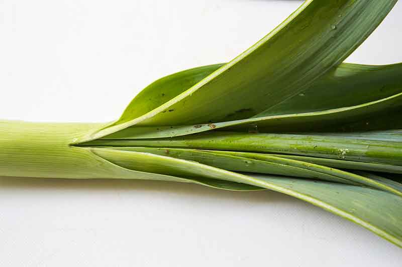 easy way to clean leeks