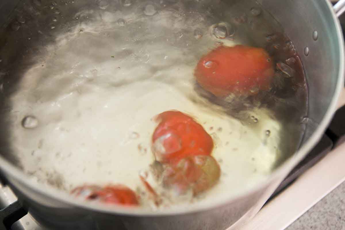 salmon-provencal-method-2