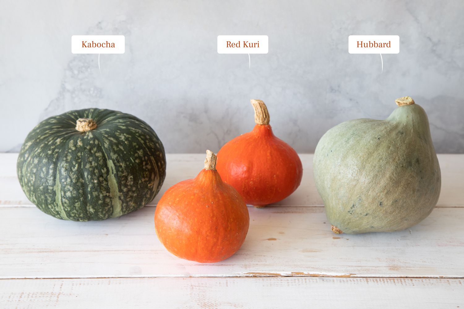 Kabocha, Red Kuri, and Hubbard winter squashes