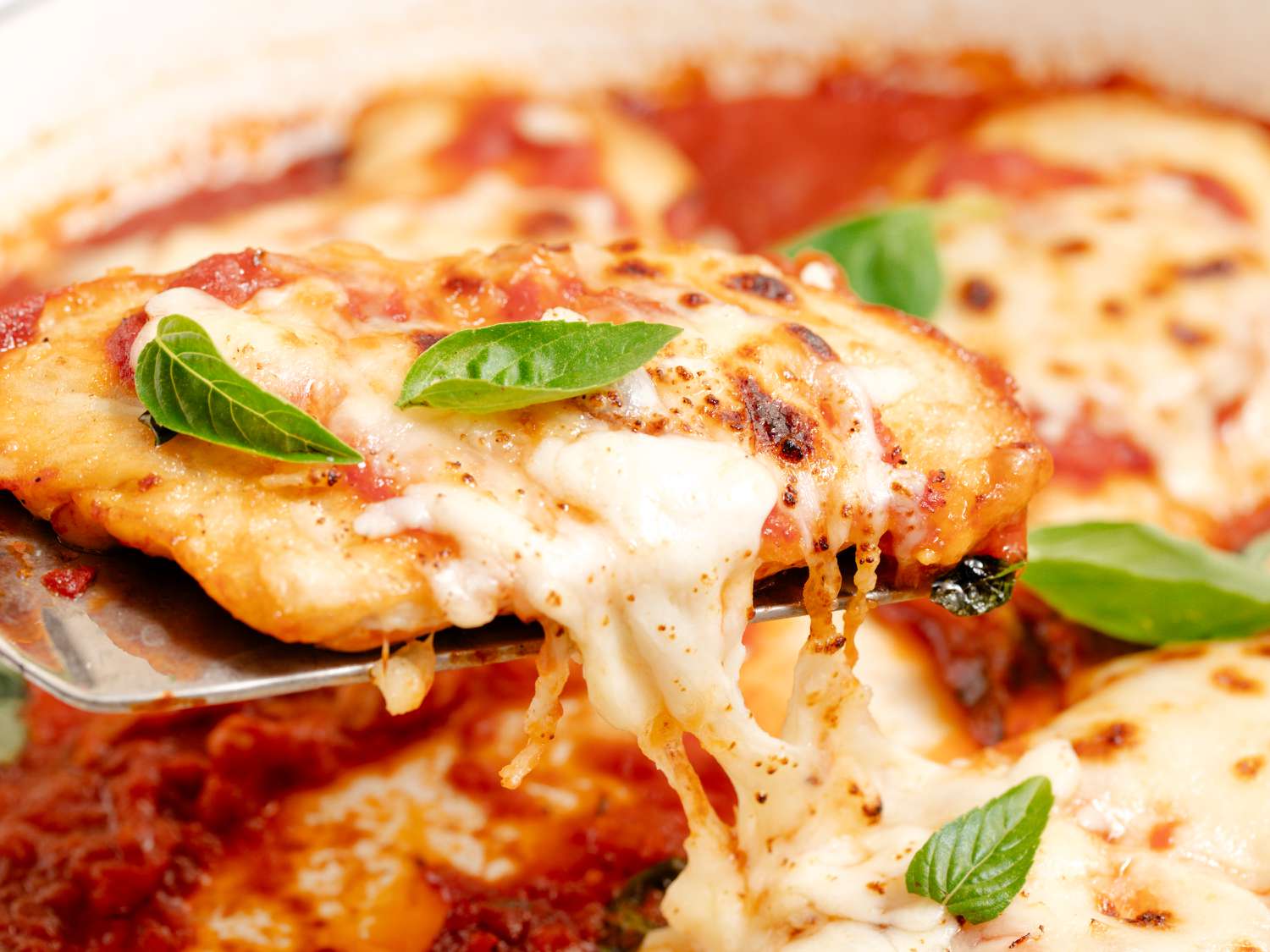 A closeup of a cheese covered chicken breast garnished with basil