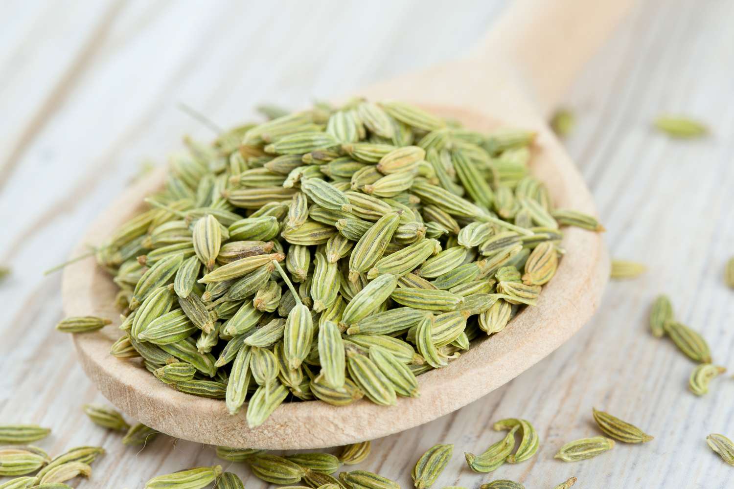 Wooden spoon filled with fennel seeds
