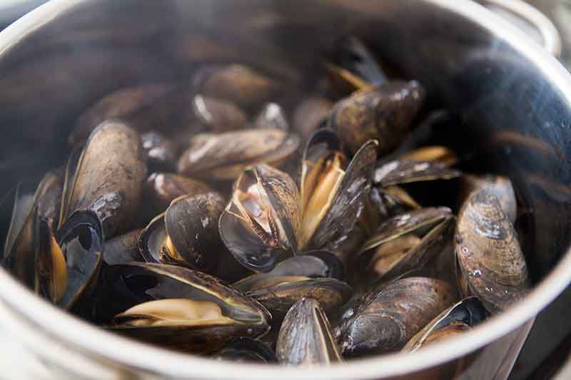 mussels-white-wine-sauce-method-2