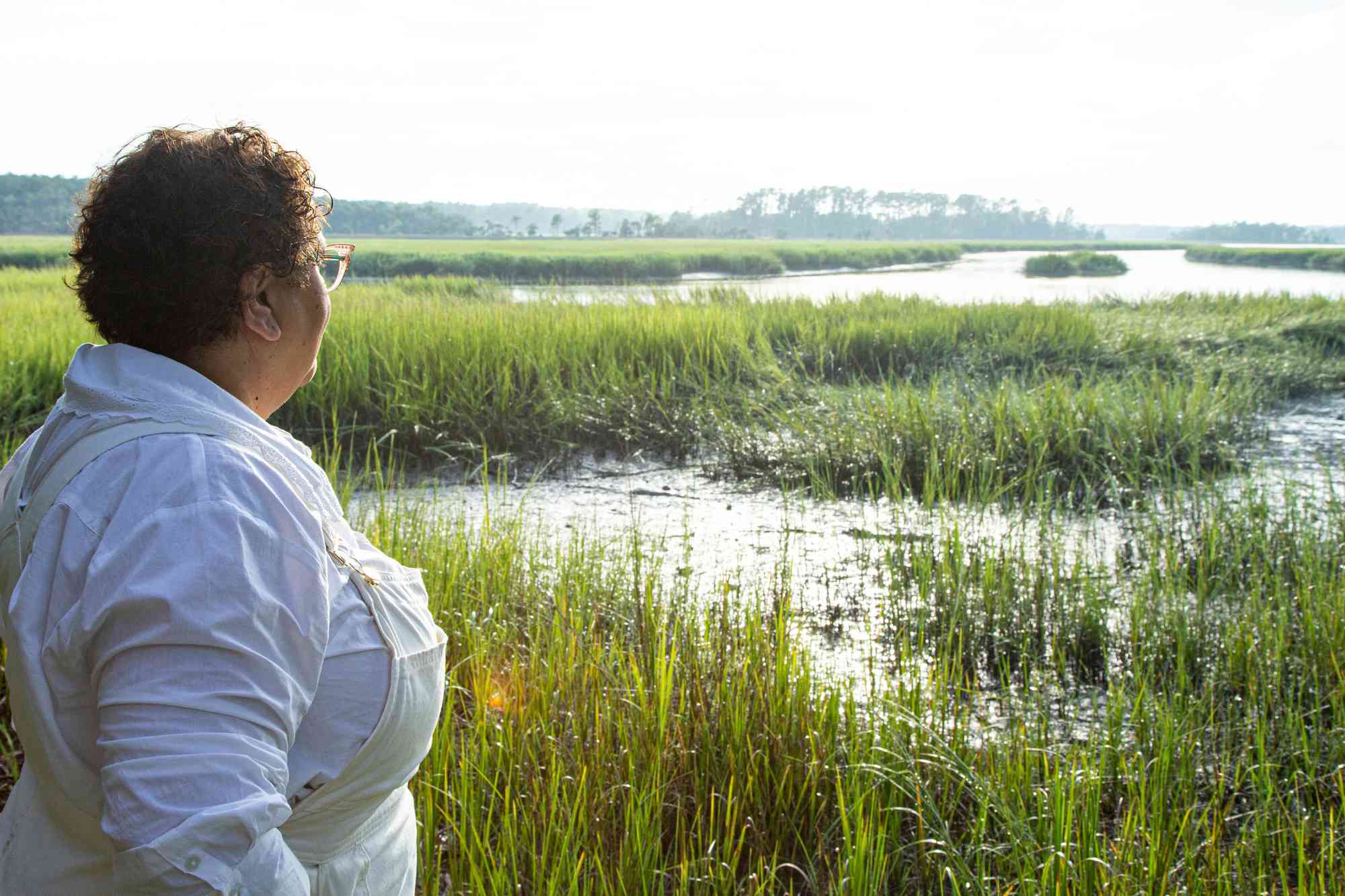Cheryl Day overlooking wetlands in the South