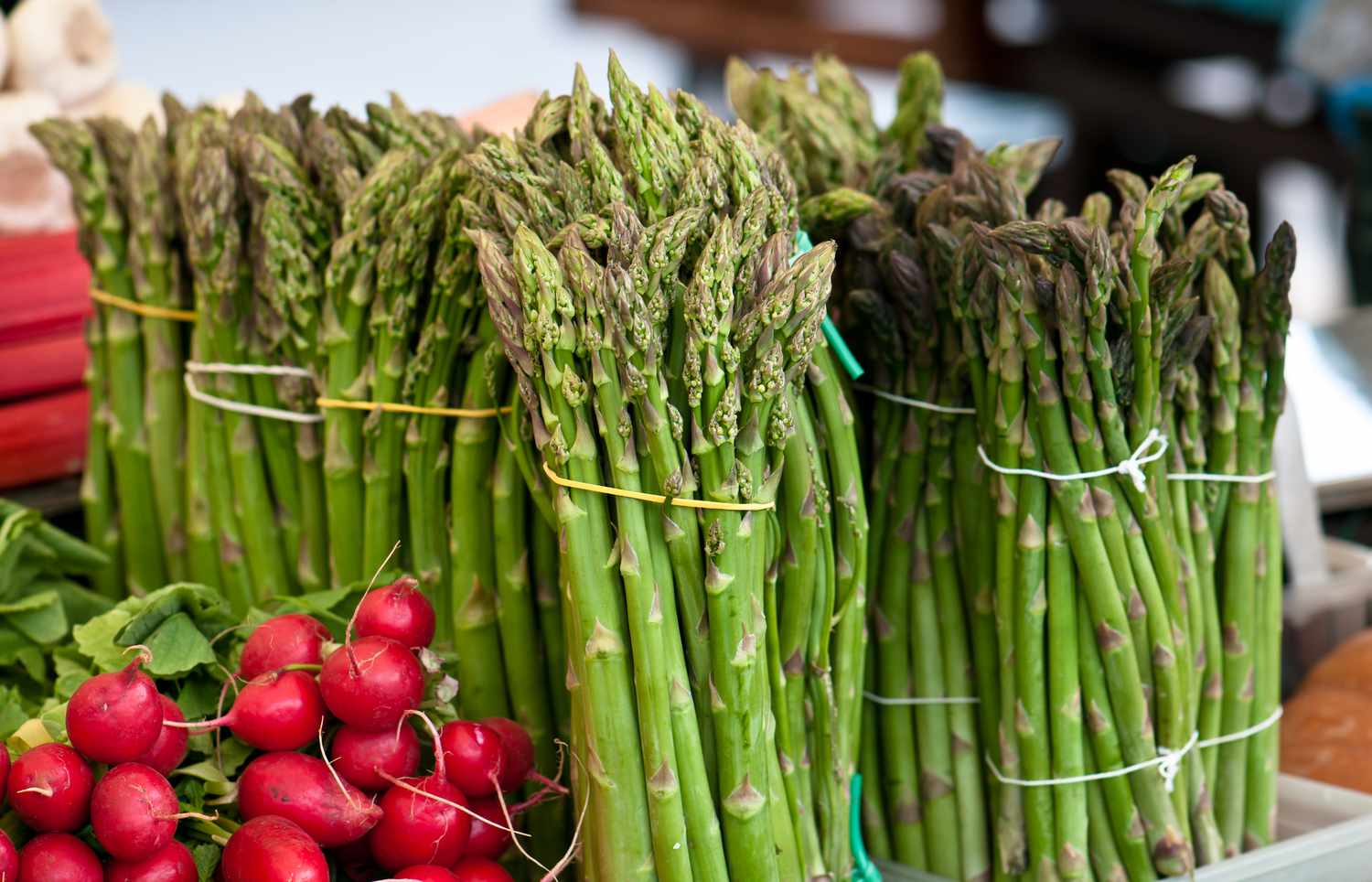 Sideview of bunches of asparagus and radishes
