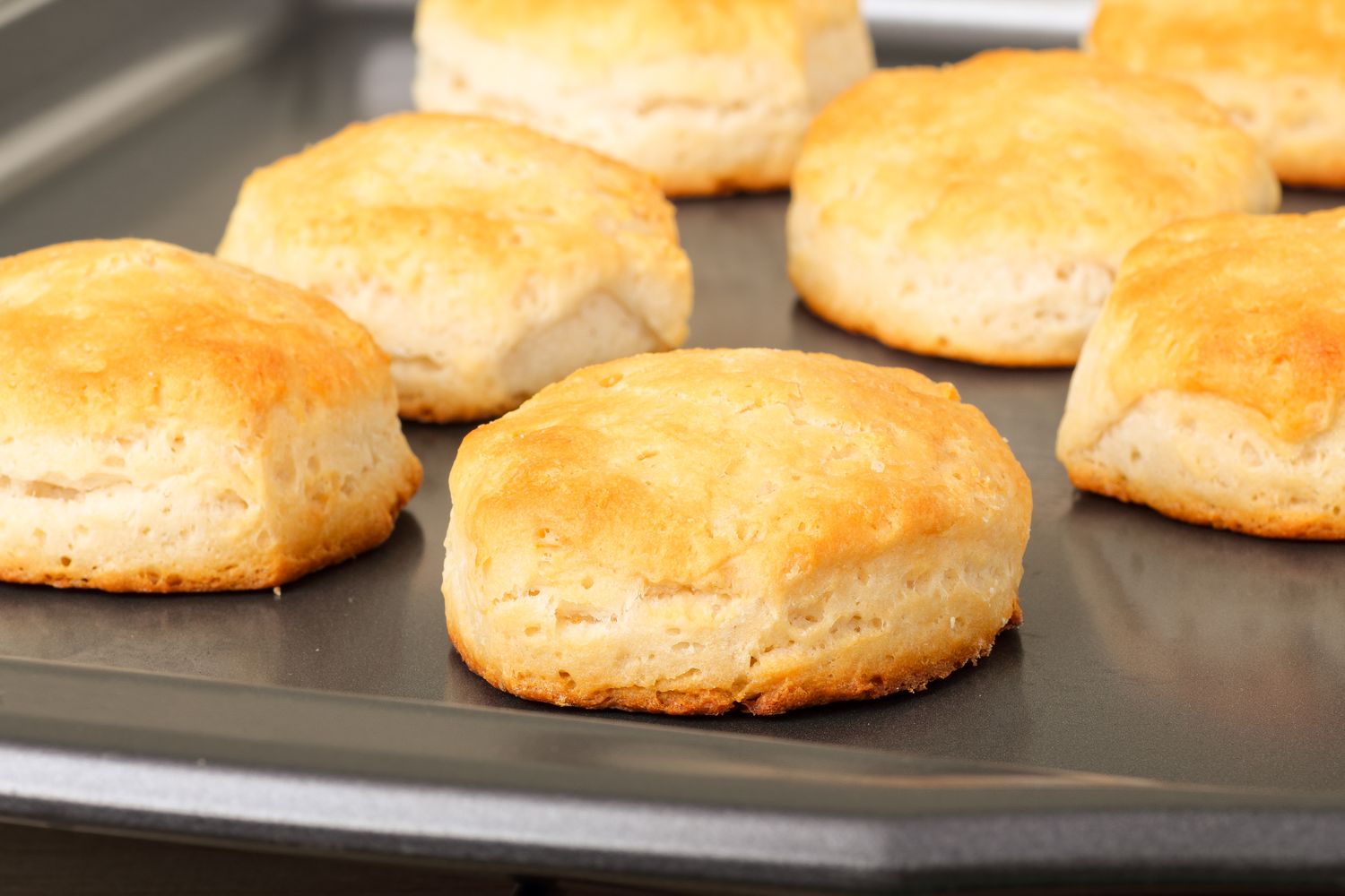 Freshly baked biscuits on a baking tray