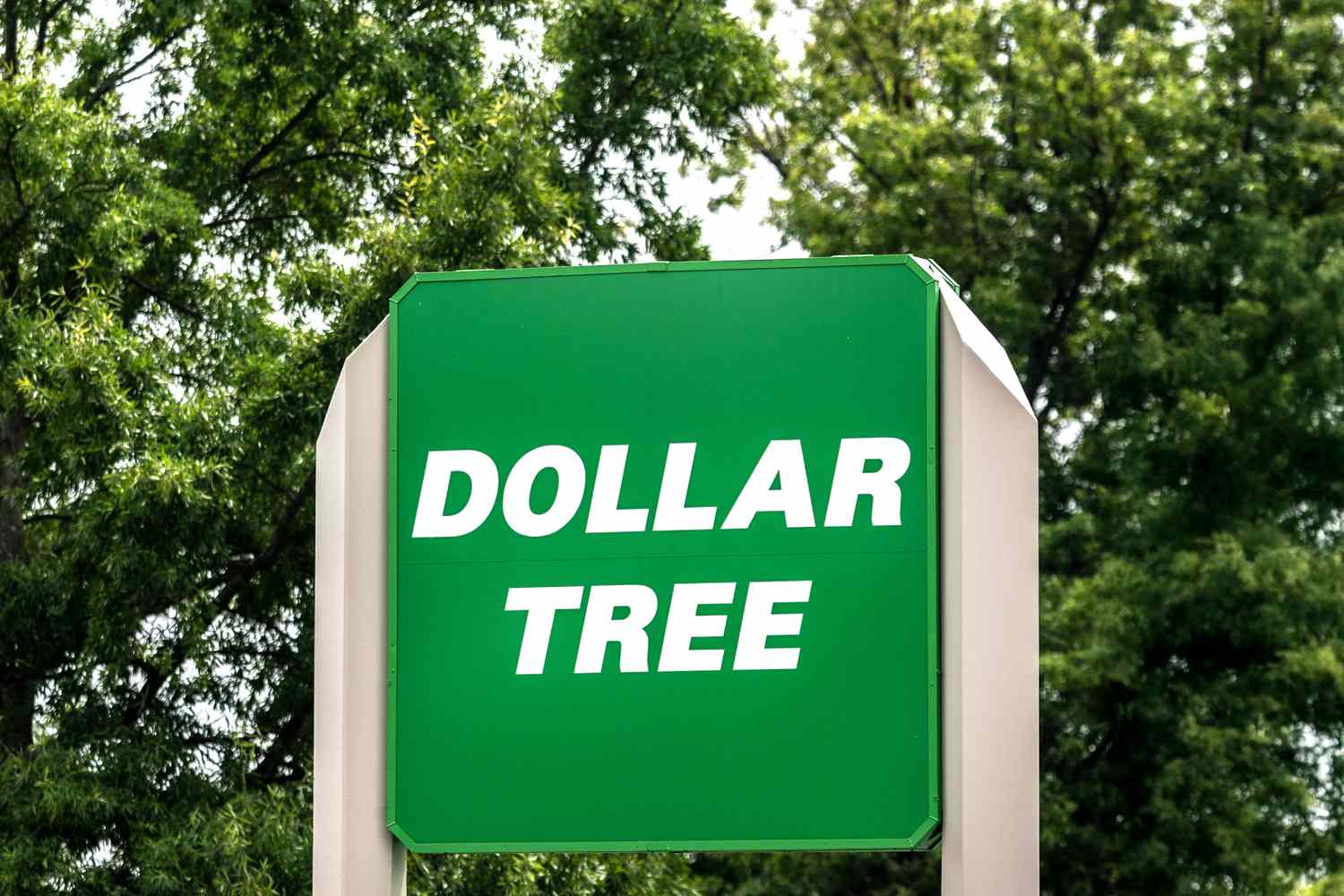 A Dollar Tree sign with a green background and white text surrounded by trees
