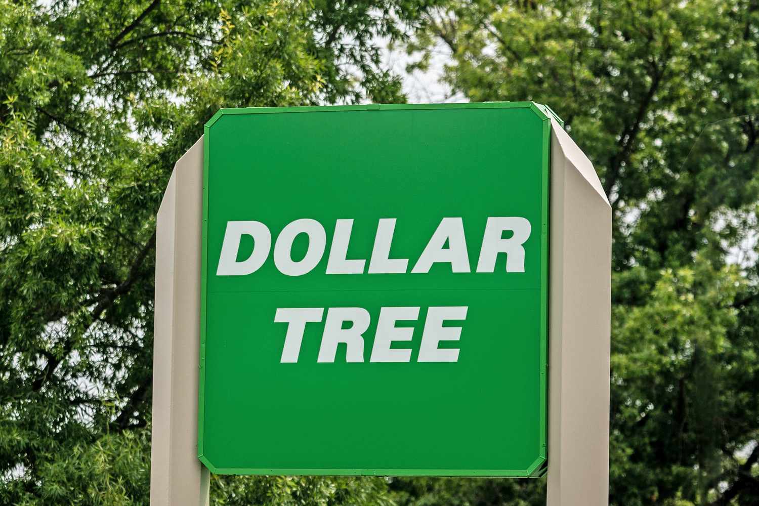 A green Dollar Tree sign