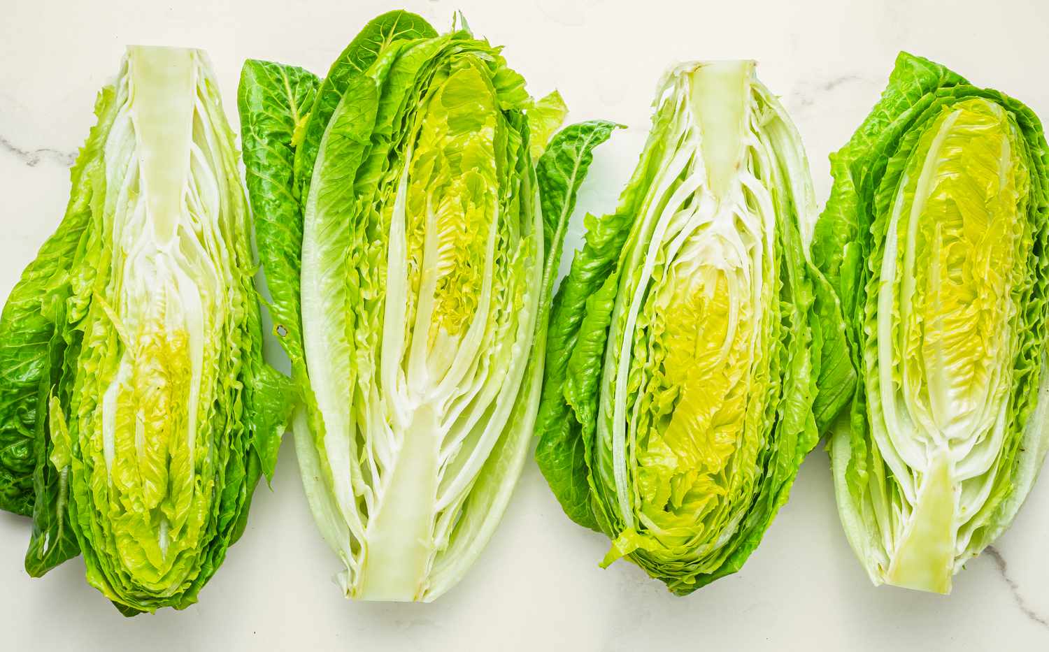 Four romaine lettuce halves on a white countertop