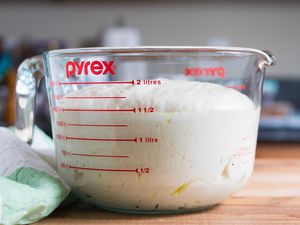 easiest No-Knead Pizza Dough