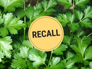 Italian parsley with a recall notice overlay