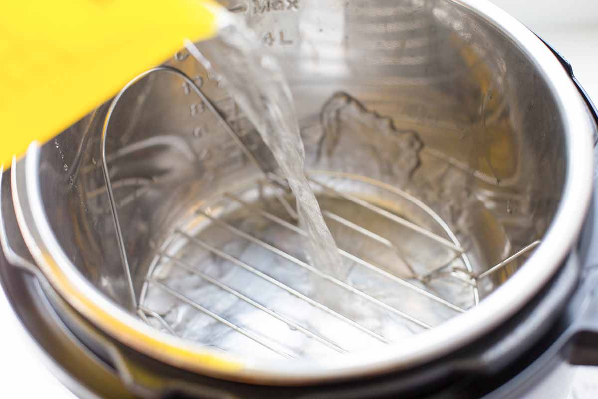 Pressure Cooker Butternut Squash Soup