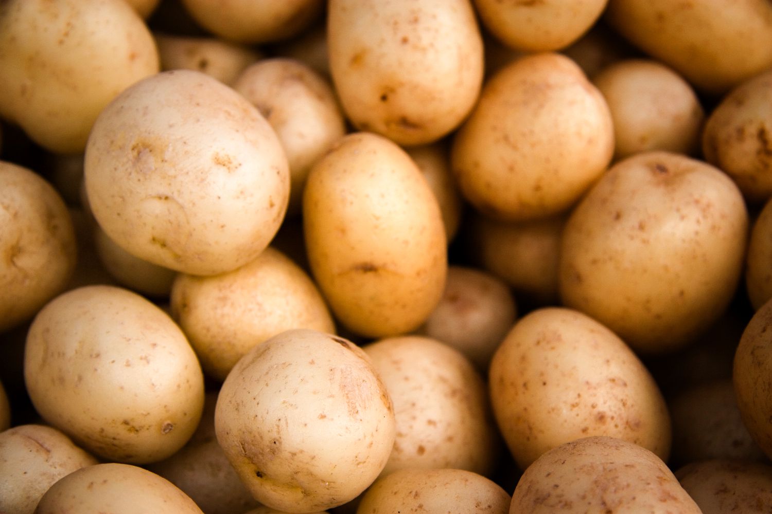 Closeup of potatoes