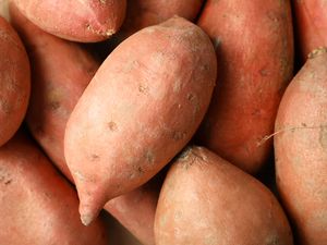 A close up of sweet potatoes
