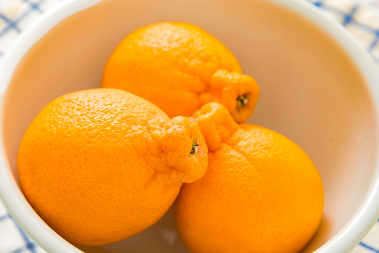 Three sumo oranges in a white bowl