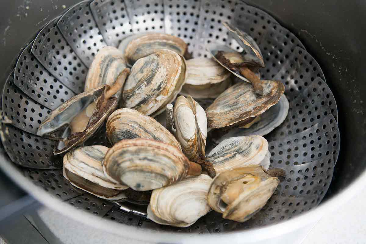 how to cook clams - steamed clams