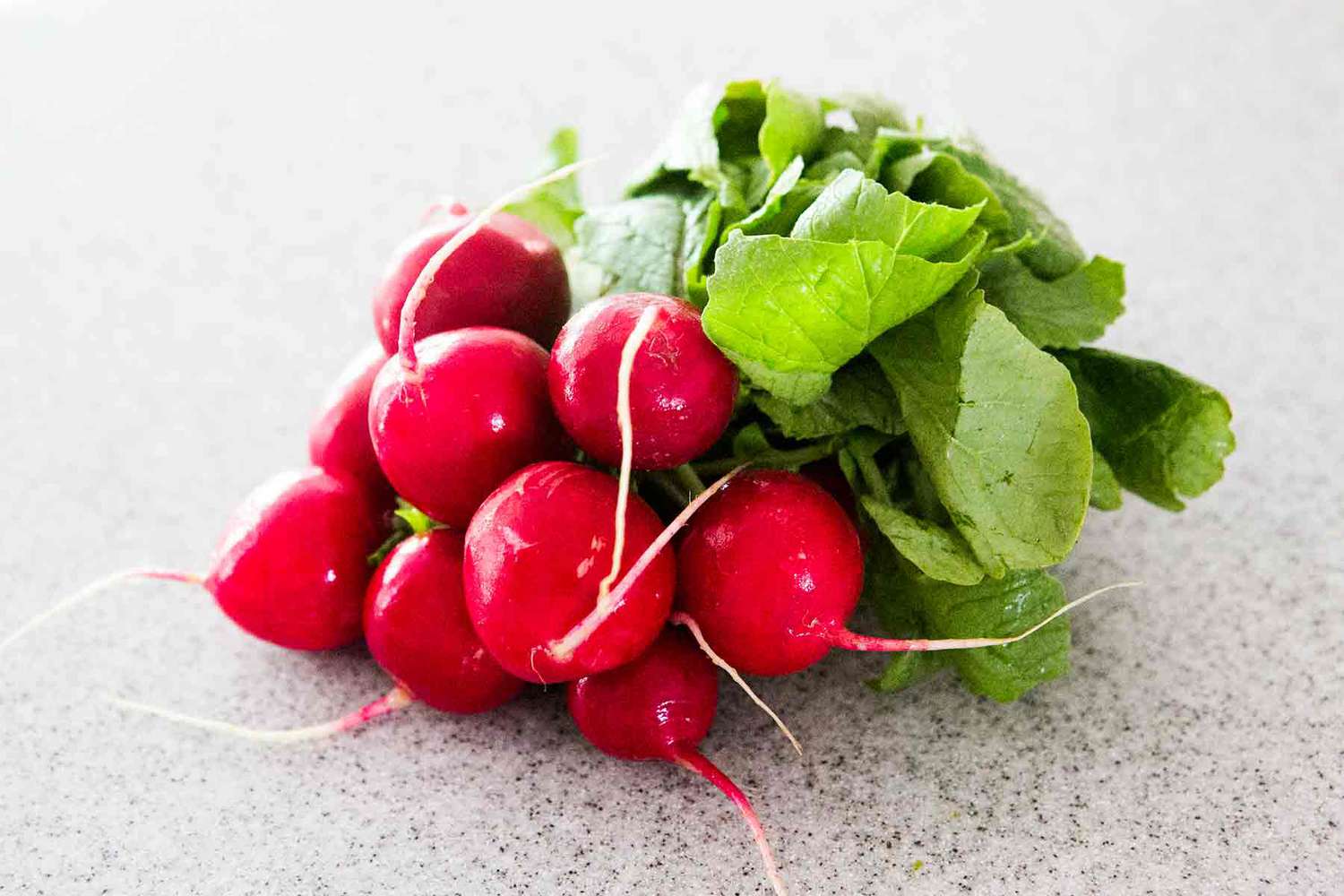 Bunch of Radishes