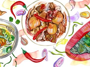 Illustration showing three dishes for the Lunar New Year