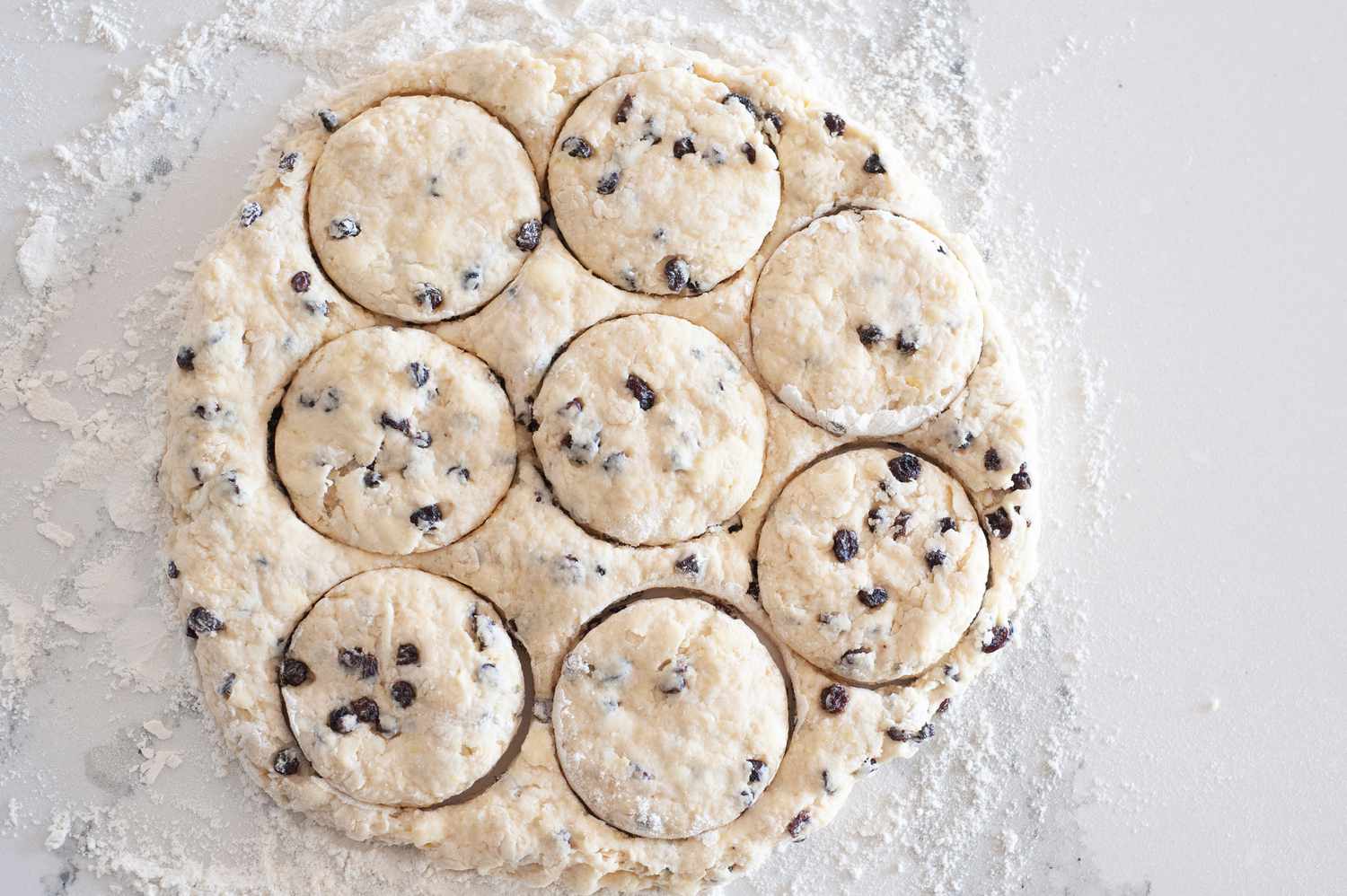 Irish Scones with Dried Currants cut into circles.
