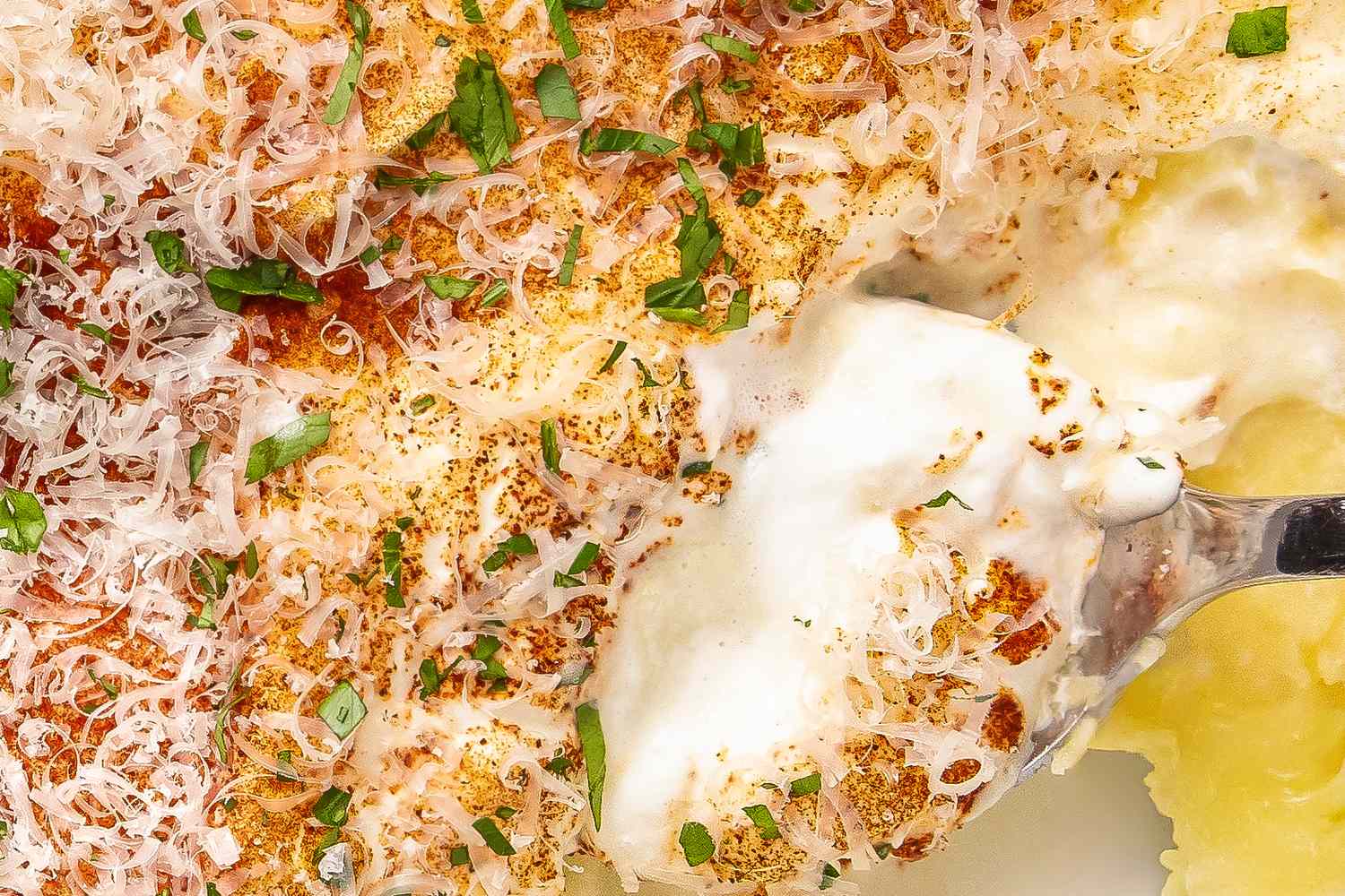 Casserole dish with a creamy texture and garnished with cheese and herbs