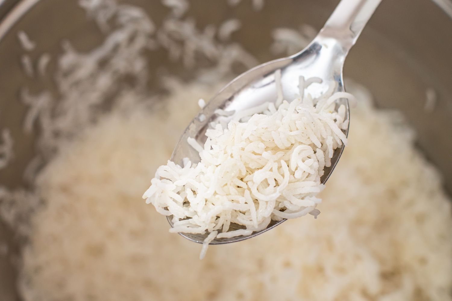Rice Kabuli Palao (Afghan Lamb Shanks with Rice, Carrots, and Raisins)