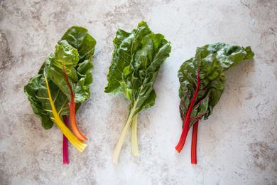 Varieties of Swiss chard with rainbow red and white stems