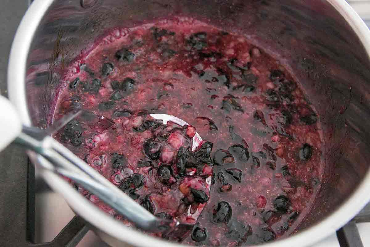 blueberry-frozen-yogurt-method-1
