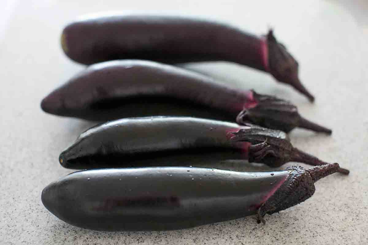 Four Japanese Eggplant