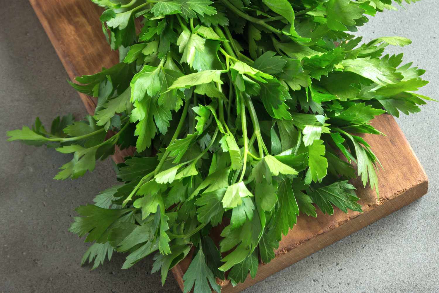 Bunch of fresh parsley lying on a wooden cutting board