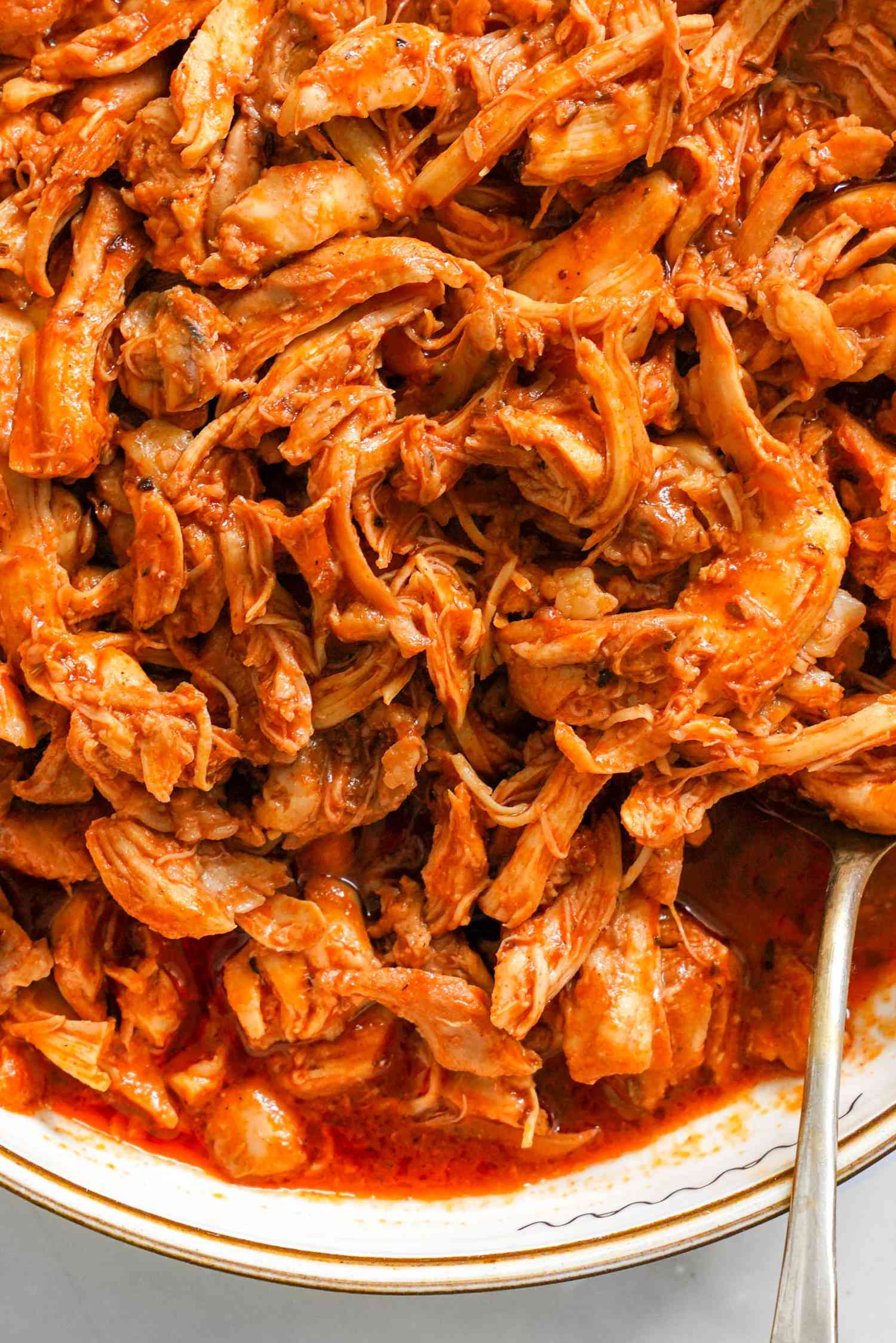 Close-up of Pulled Chicken