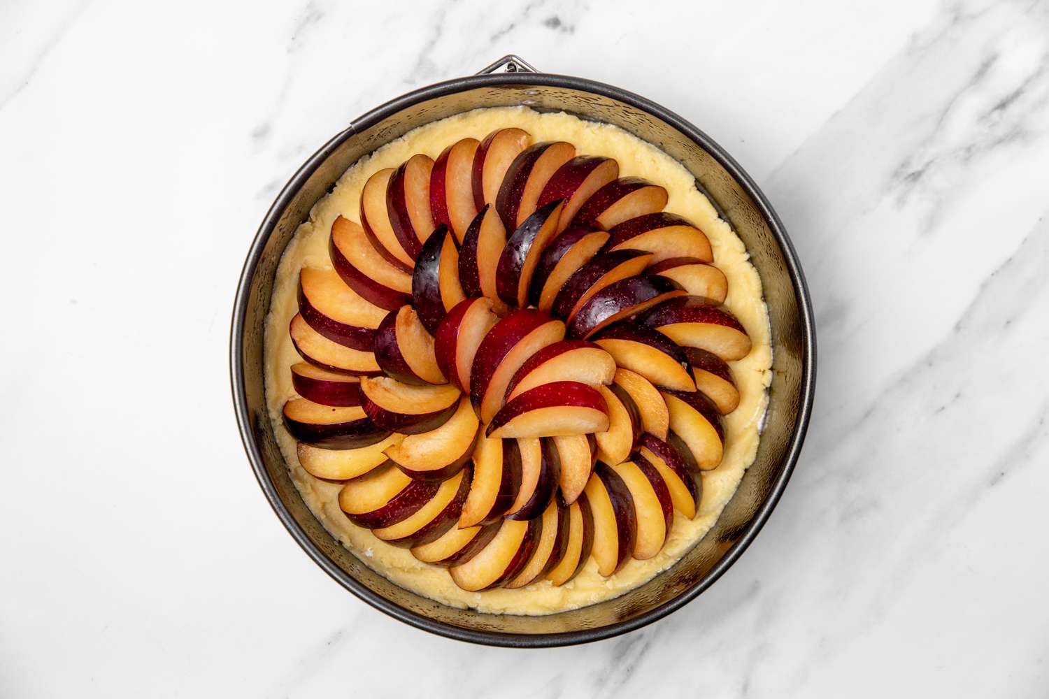 sliced plums added to the tart dough in the springform pan for german plum tart recipe