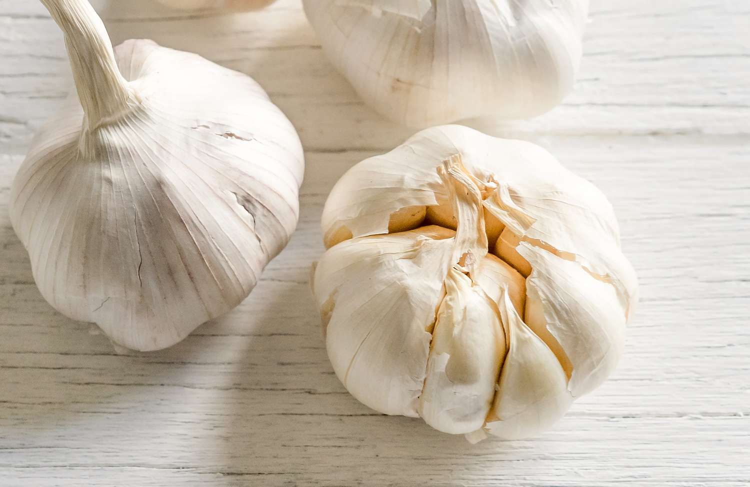Garlic bulbs on a white wooden counter