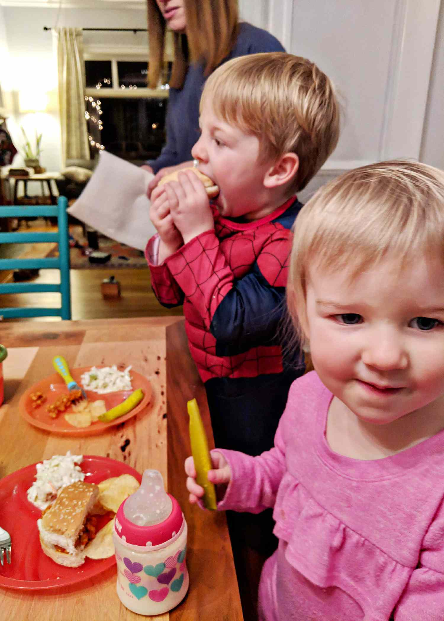 Easy Sloppy Joes with Turkey