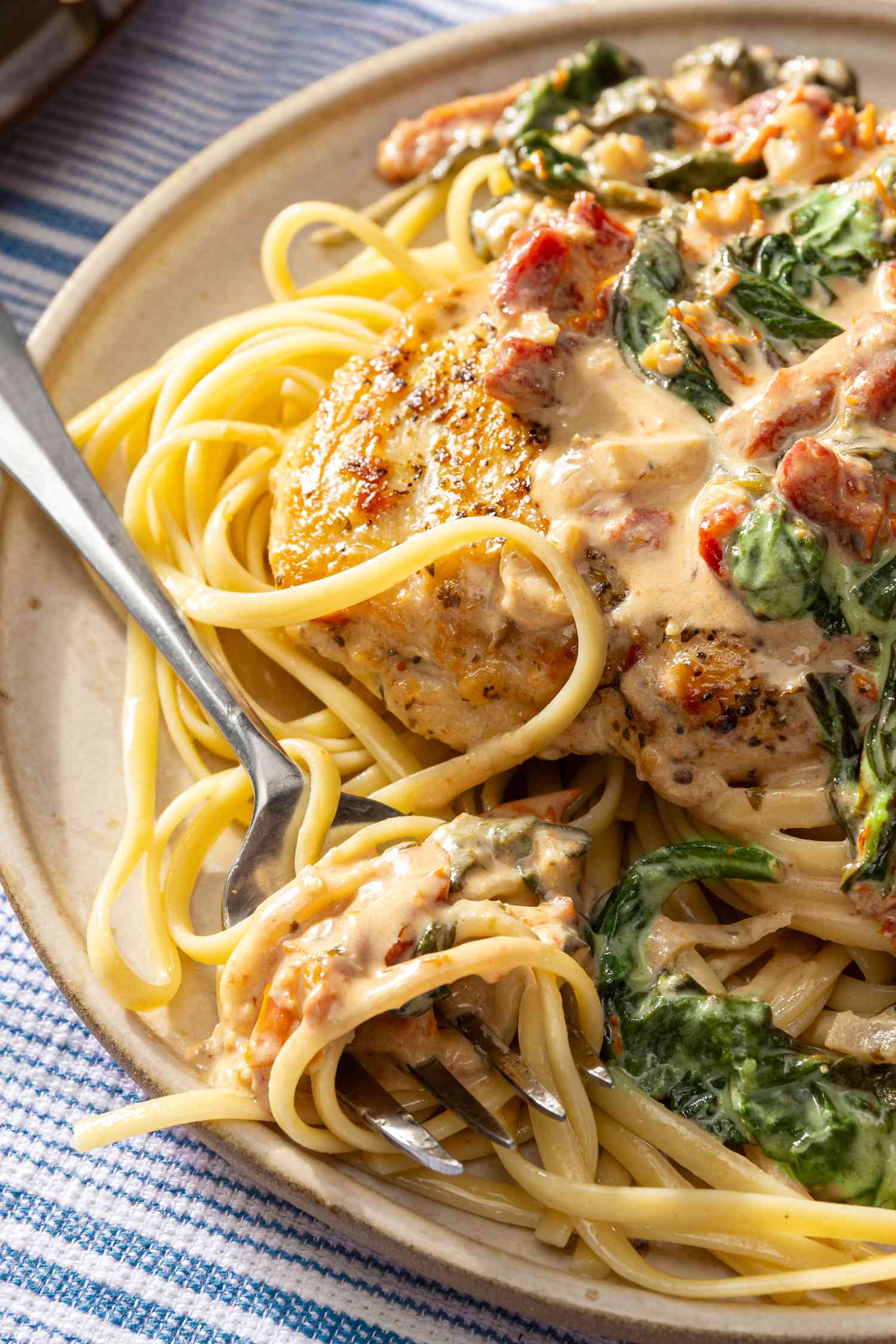 close-up: creamy tuscan chicken over pasta 