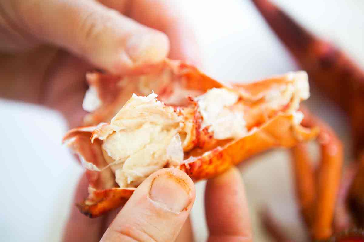 Lobster meat being revealed
