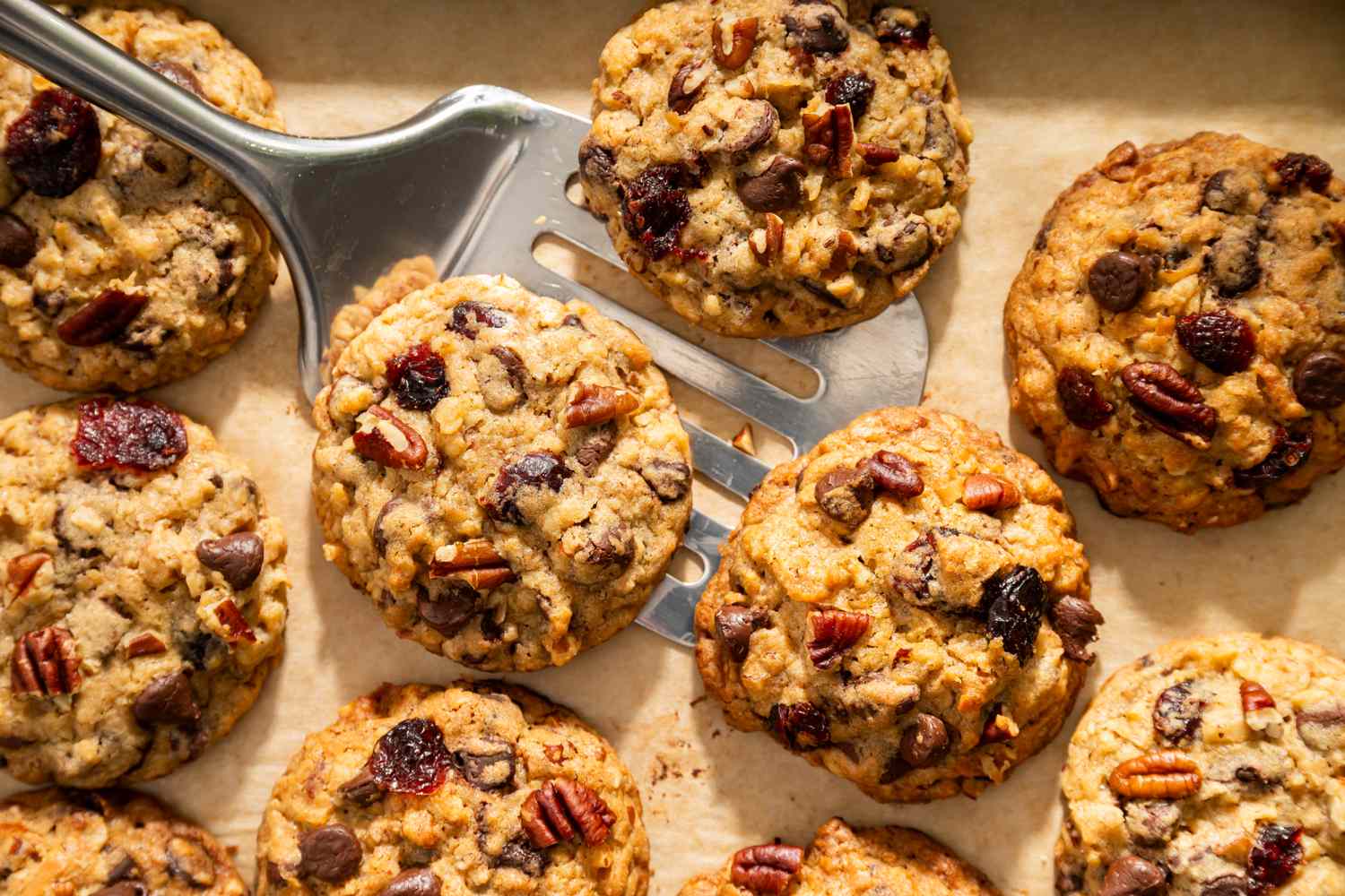 A batch of cookies with chocolate chips pecans and cranberries arranged on a baking tray with a spatula underneath one