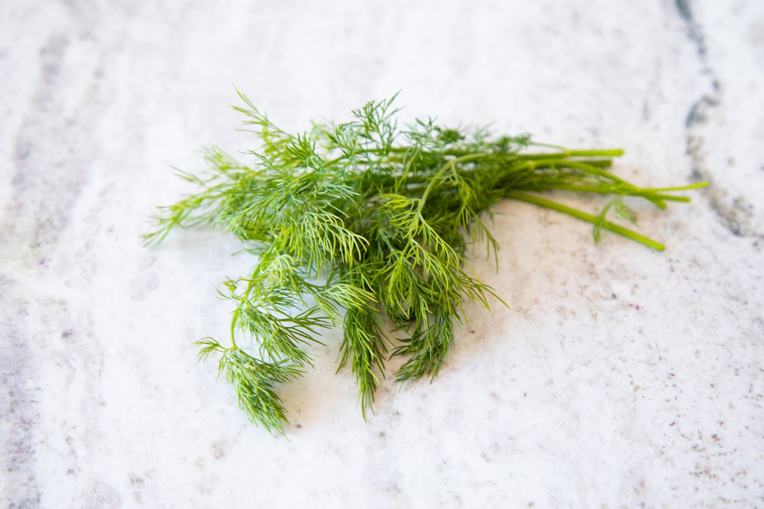 Bunch of Dill on the Counter 