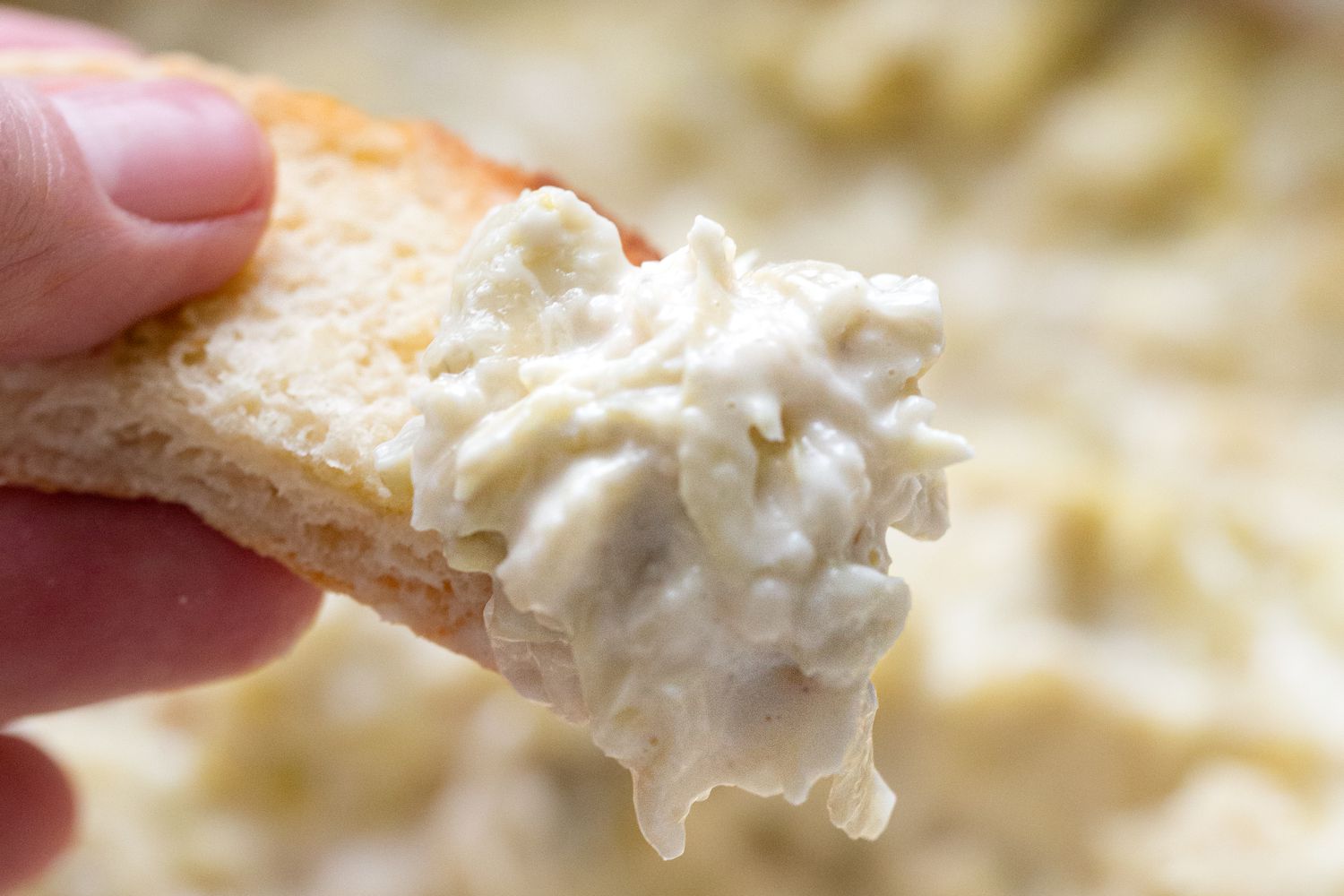 Hand Holding a Piece of Toast With Some Quick and Easy Artichoke Dip on It 