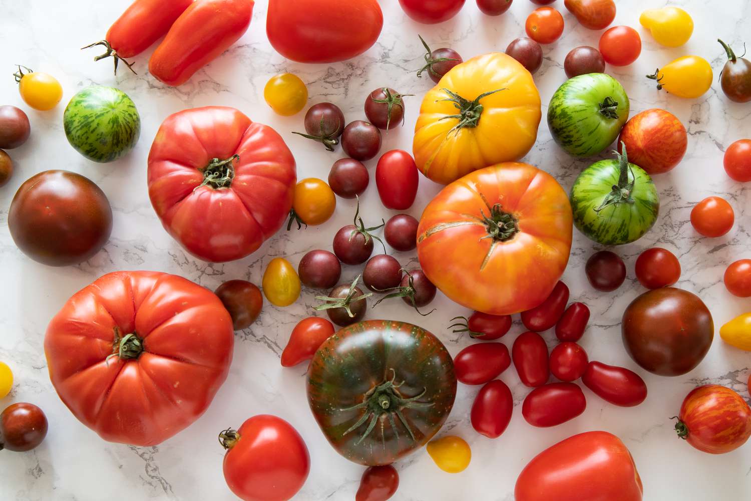 Varieties of tomatoes