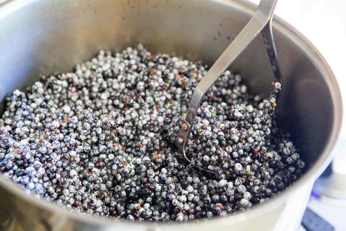 elderberry-jelly-method-3