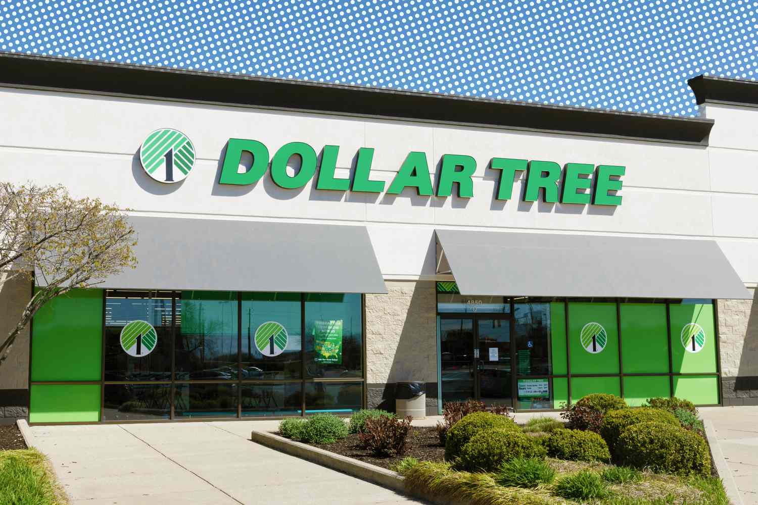 A Dollar Tree storefront