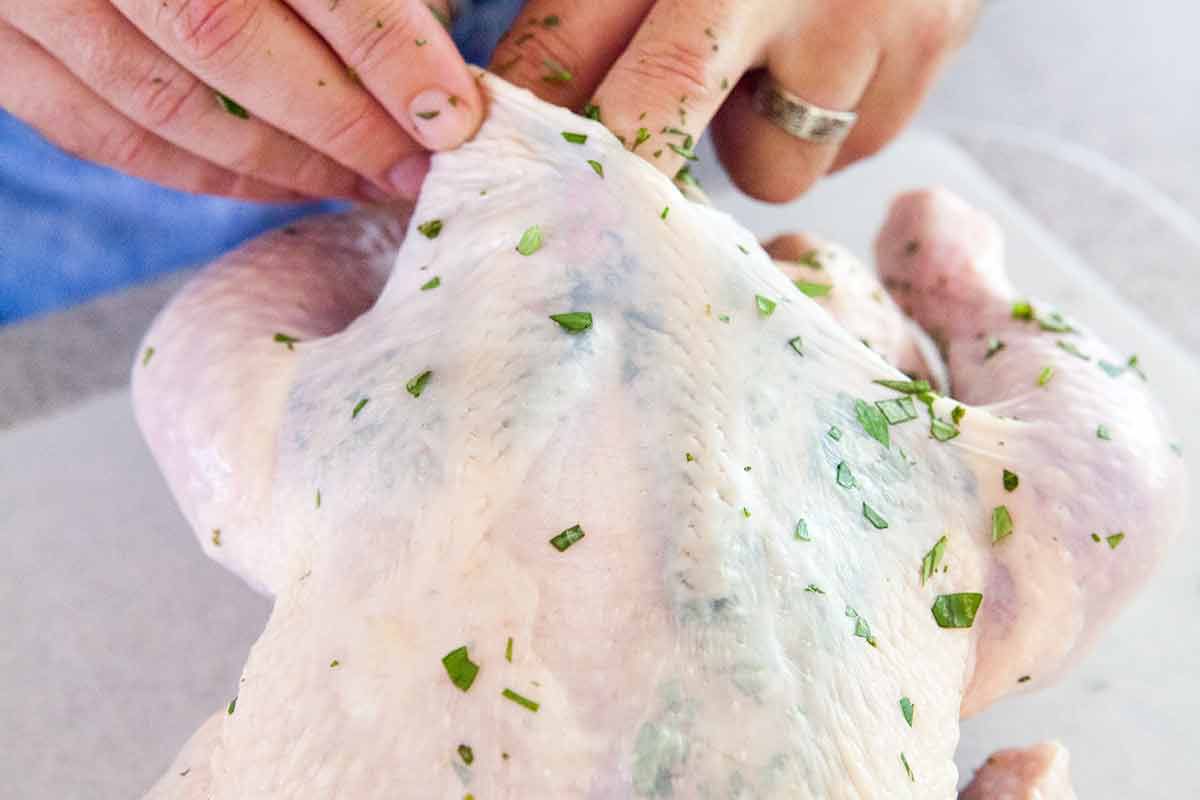 herb-roasted-chicken-method-1