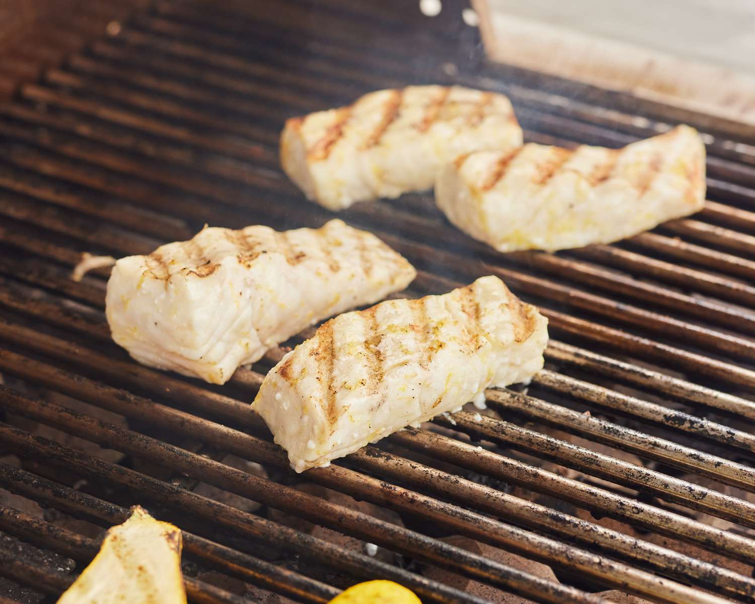 Grilled Fish on a Grill