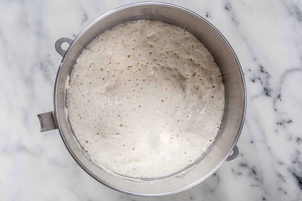 Fermented Sponge starter in a silver mixing bowl for Stollen recipe.