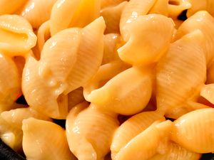 Closeup view of creamy macaroni and cheese with shellshaped pasta