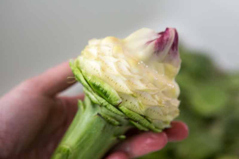 artichoke-soup-method-2