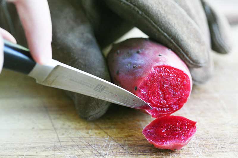 Cutting prickly pear 