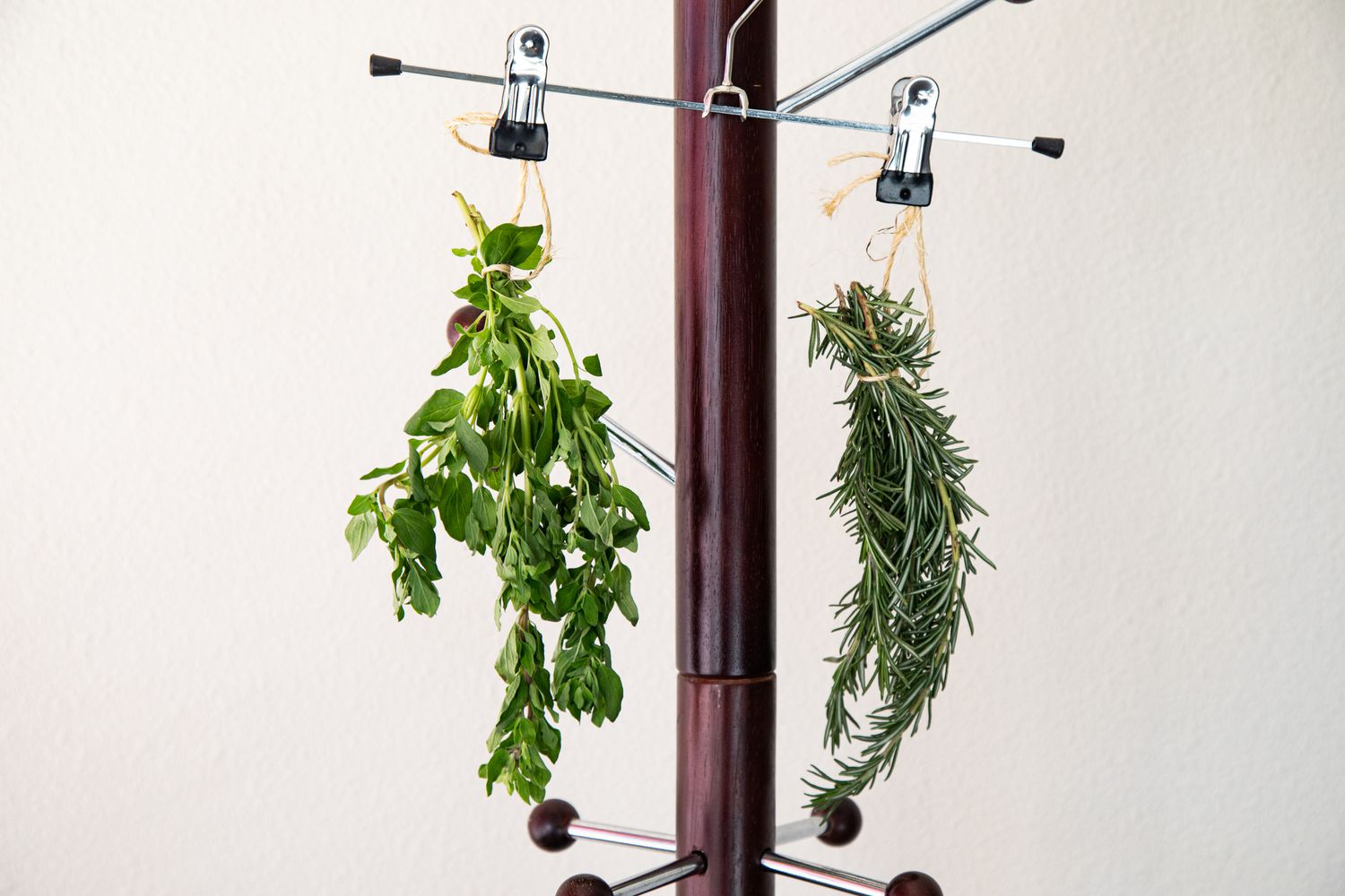Sprigs of Herbs Attached to Hangers and Hung on a Coat Rack